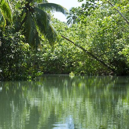 Raiatea - Studio Tenape Tevaitoa Zewnętrze zdjęcie