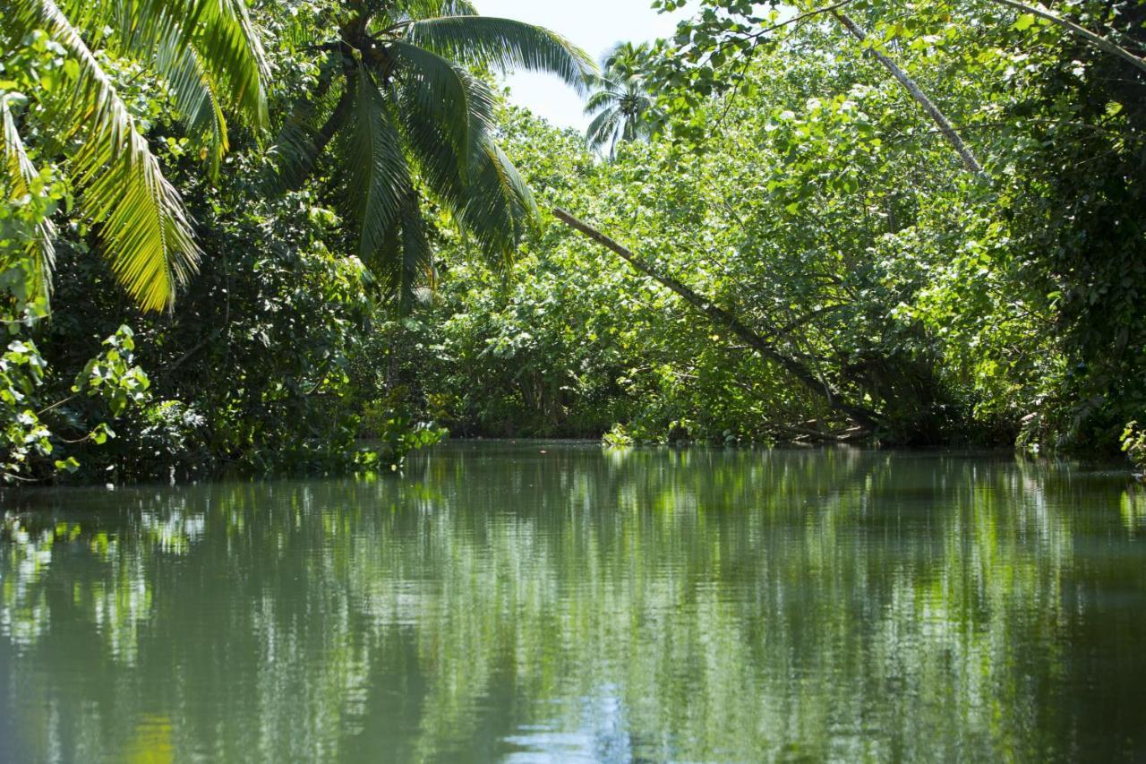Raiatea - Studio Tenape Tevaitoa Zewnętrze zdjęcie